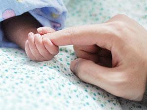 HPϵһNʲôPϵôfHPϵӵӰ