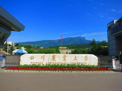 Ĵr(nng)I(y)W211᣿ȫJɶΣ(yu)݌I(y)Щڎ