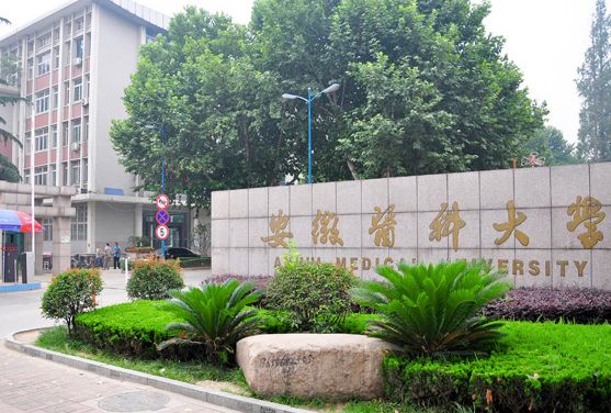 tƴWôӣ985᣿ڎ͘Iǰ