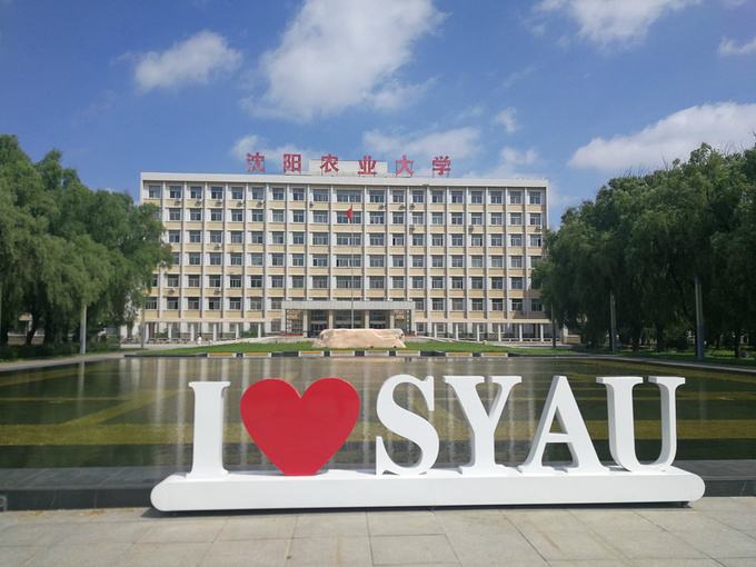 r(nng)I(y)W(xu)ôӣС211᣿͘I(y)ʸ߆᣿lΣ