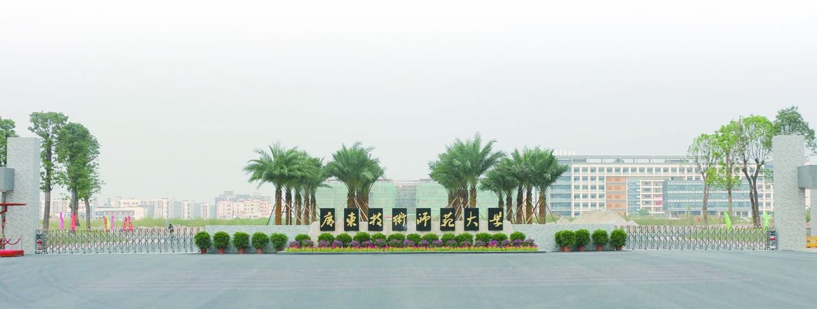 V|gWʲôˮƽױIʲôڎף