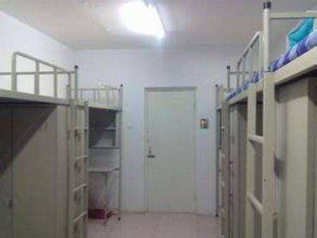 ɹؔW211᣿ڱΣ͘Iʸ߆᣿lӣ