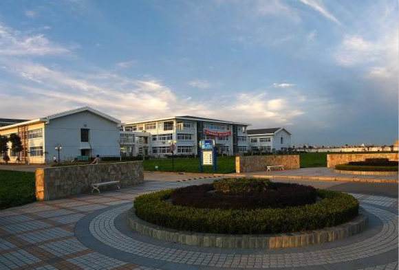 ϺϢIgWԺ̖Q211܏WM