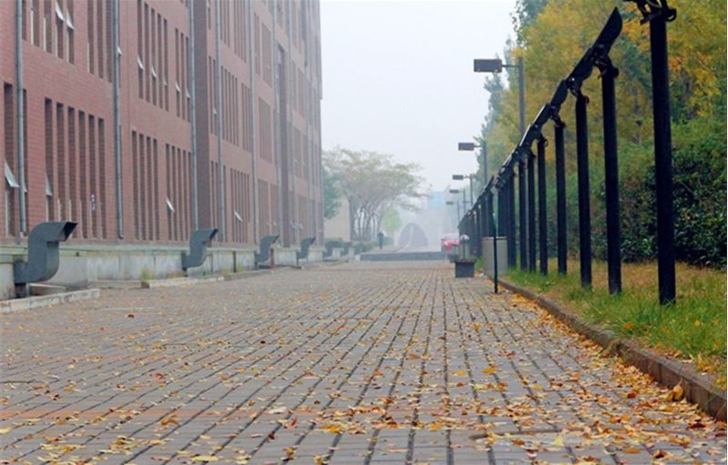 ɽ|ˇg(sh)W(xu)Ժy᣿ǎױ͘I(y)ǰӣW(xu)M(fi)٣