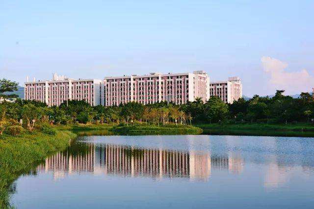 VݳǽIWԺԌ᣿ʲôˮƽWM٣h