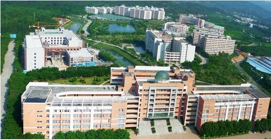 VݳǽIWԺԌ᣿ʲôˮƽWM٣h