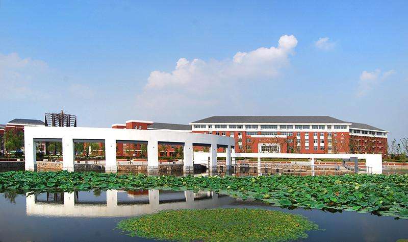 ϾFIgWԺǡ985᣿ʴ᣿͘Iǰ