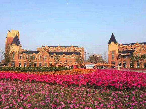 ĴĻýI(y)WԺ̌W|ӣڎףþ͘I(y)WM