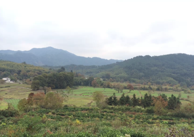 ^m(x)ʲôđ{ʹĂ(g)W(xu)vÆԿą^(q)eʲô