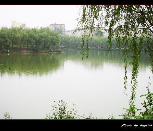 СW̎Cÿͨ^ʸ߆᣿ʲôfСWώˣ