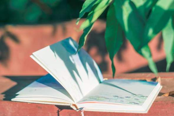 СW(xu)̎Cÿͨ^ʸ߆᣿(bo)СW(xu)̎YCҪʲôl