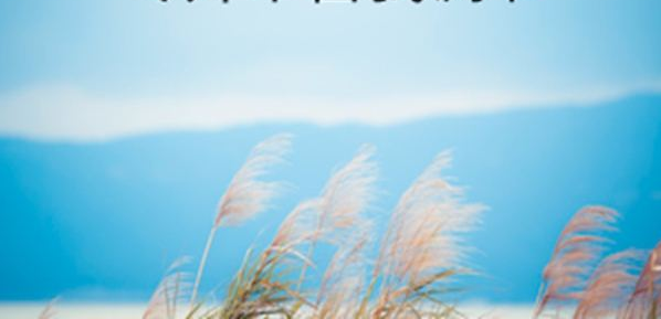 北京自考報(bào)名時(shí)間及條件介紹?北京自考難嗎有哪些專(zhuān)業(yè)?