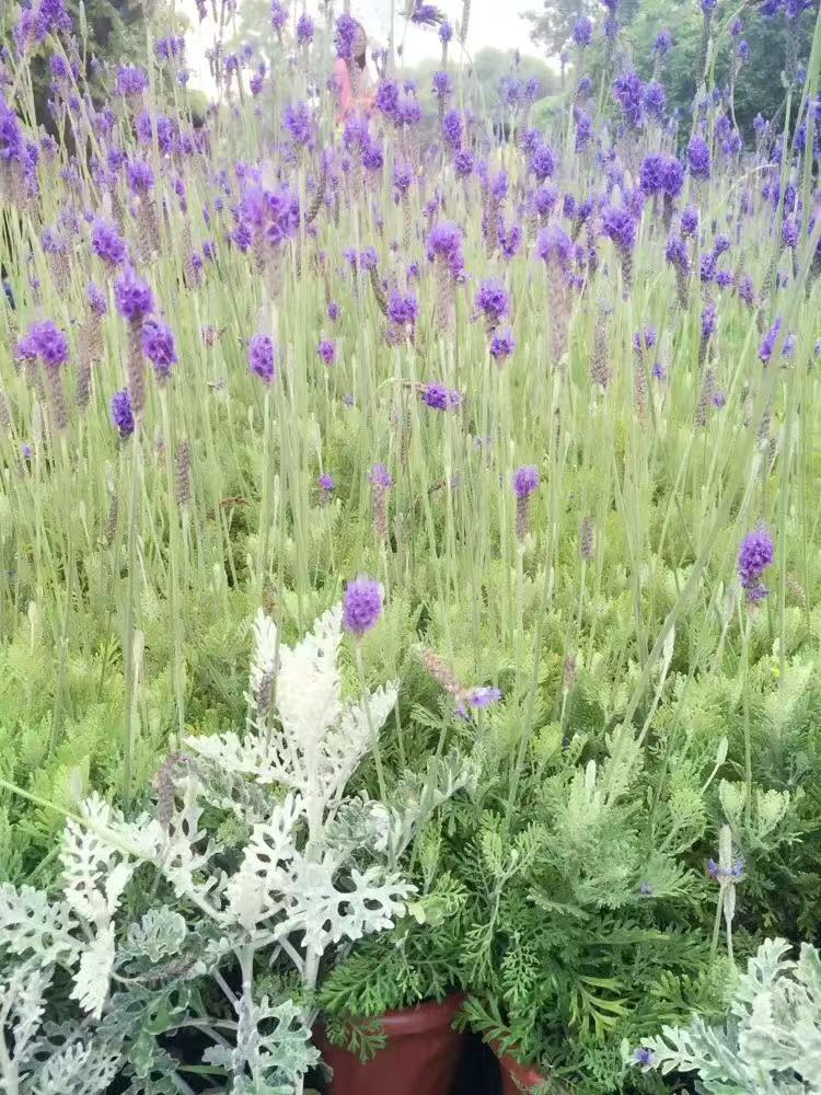 ŮʲôãmŮL÷ҸнĹ