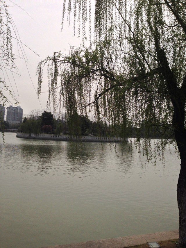 ~sW(xu)؇Jɶȸ߆᣿~sW(xu)؇ҹнY