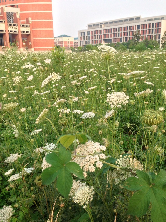 ~sW(xu)؇Jɶȸ߆᣿~sW(xu)؇ҹнY