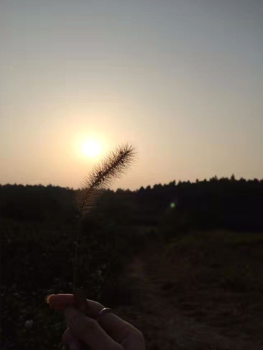 電大和函授哪個含金量高?它們的區別是什么?