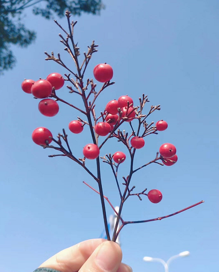 oʿCҪʲôlʲôwЩݣyȴ᣿