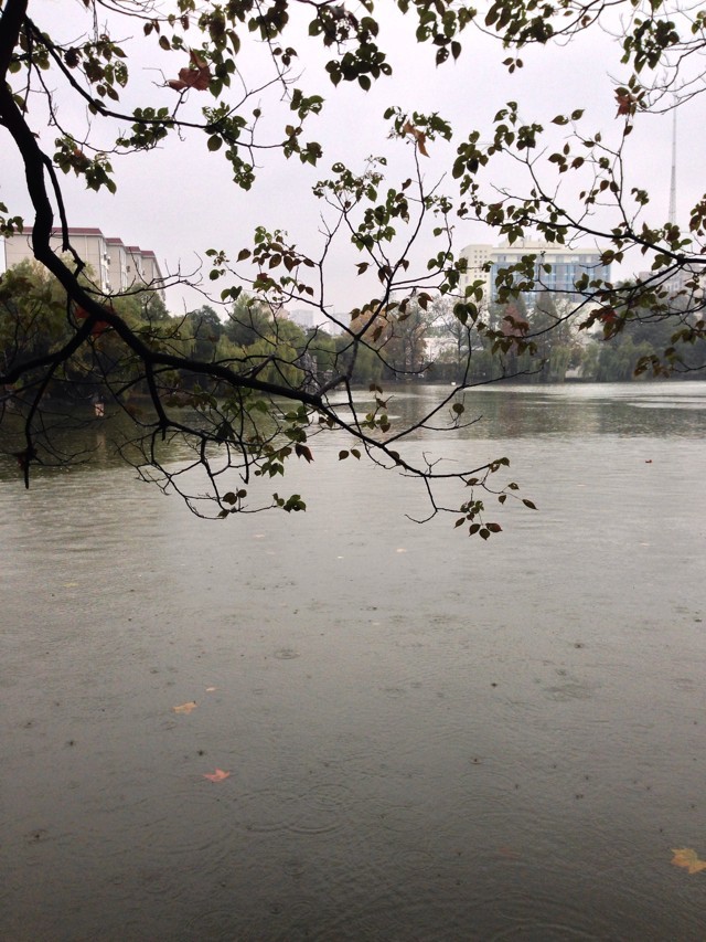 ӢZļԌWЩ^ԽأӢZ؄eôļ