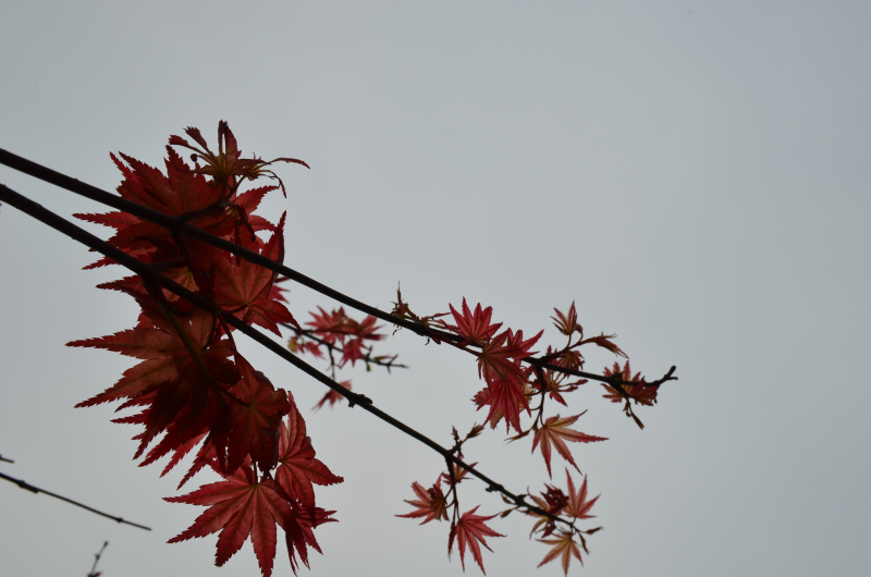 聘用制和合同制的區(qū)別介紹哪個更好?聘用制是正式的嗎穩(wěn)定嗎?