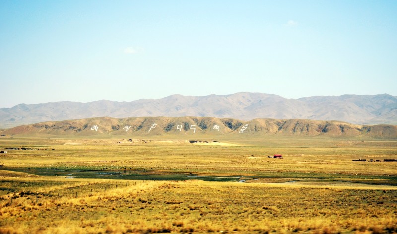 聘用制和合同制的區(qū)別介紹哪個更好?聘用制是正式的嗎穩(wěn)定嗎?