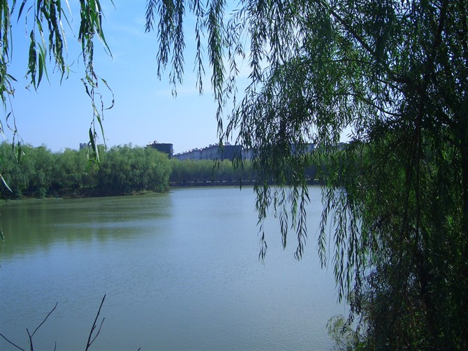 ȫЌWУyأy͵ĎW]