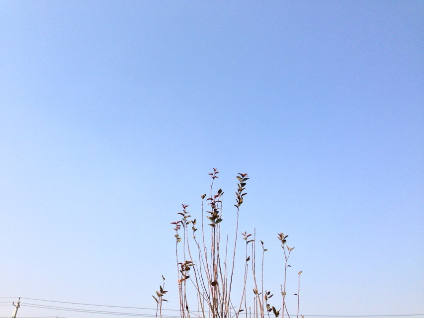 司法考試科目一共有幾門哪門最難考?司法考試時(shí)間及報(bào)考條件介紹?