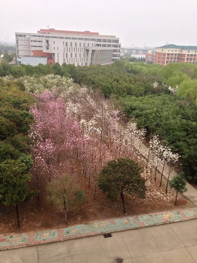 司法考試科目一共有幾門哪門最難考?司法考試時(shí)間及報(bào)考條件介紹?