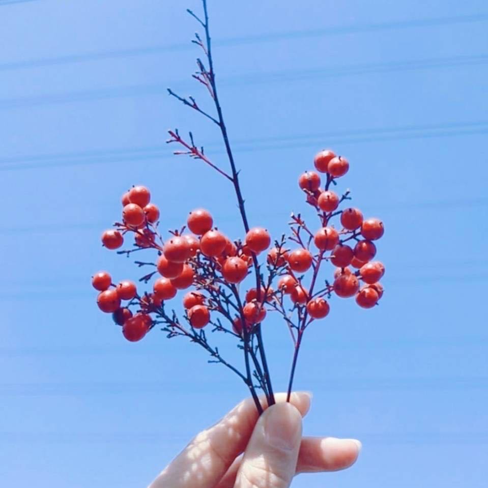 計算機屬于工學還是理學?工學和理學有什么區別?計算機有哪些專業