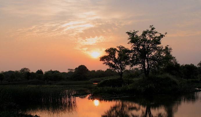 FTCʲôãھW(wng)ܲ鵽᣿PcFTͷǈFTĲe