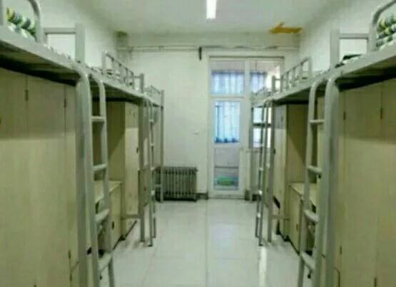 河南經(jīng)貿(mào)職業(yè)學院學費多少排名第幾?優(yōu)勢專業(yè)有哪些宿舍條件好嗎