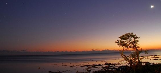發朋友圈晚安的精美句子你知道幾句?晚安溫馨句子大盤點