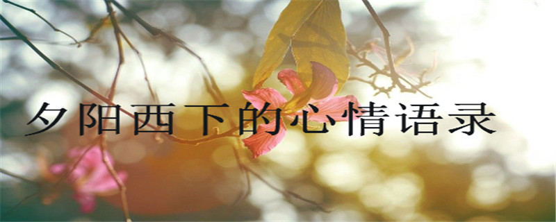 盤點(diǎn)夕陽西下的心情語錄,適合發(fā)日落的朋友圈