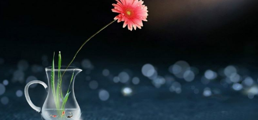 關于后悔的經典句子說說心情短語,句句心涼痛徹心扉!