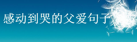 描寫父愛感人的句子,感動到哭的父愛句子
