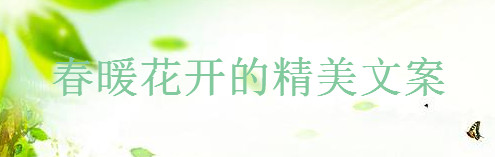 關于春暖花開的精美文案集錦,適合春暖花開發朋友圈的短句