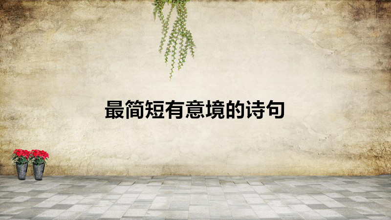 ⾳ԊЩЩT@GԊ~Pc