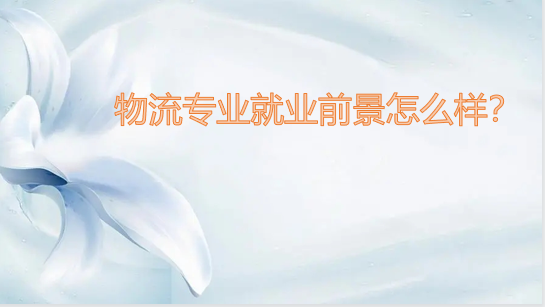 1642058714129895.png 物流專(zhuān)業(yè)就業(yè)前景怎么樣?物流什么崗位最有發(fā)展前景