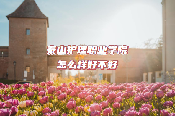 1664178969280258.png 泰山護(hù)理職業(yè)學(xué)院怎么樣好不好?(什么檔次、院校口碑)