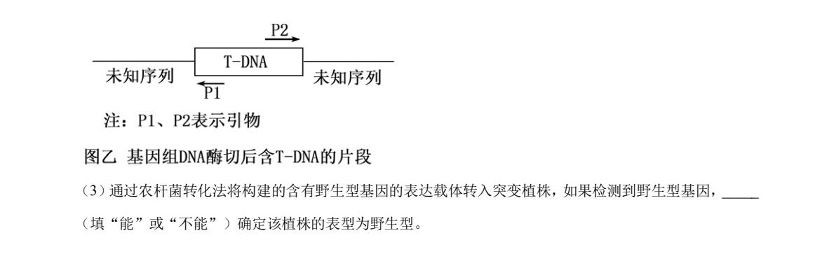 1756196372326600.jpg 2025山東新高考生物試卷真題及答案解析,附考點題型及分值分布